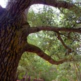 ESTIMAR-LA-NATURA-03