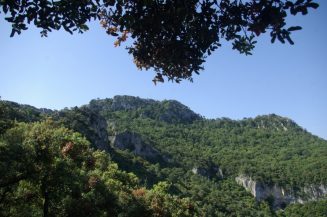 CATSUD-BOSCOS-TERAPEUTICS-05