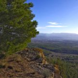 EXCURSIÓ PLÀCIDA 6
