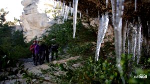 Excursions hivernals