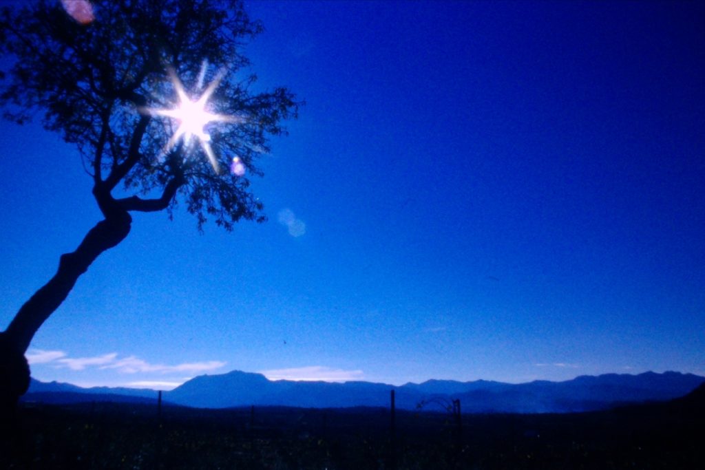 BAIX PRIORAT