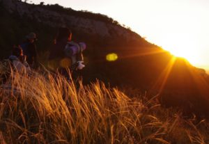 Solstici d’estiu 2013