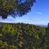 EXCURSIÓ PLÀCIDA 4