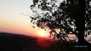 Nit d’estels i emocions a Montsant