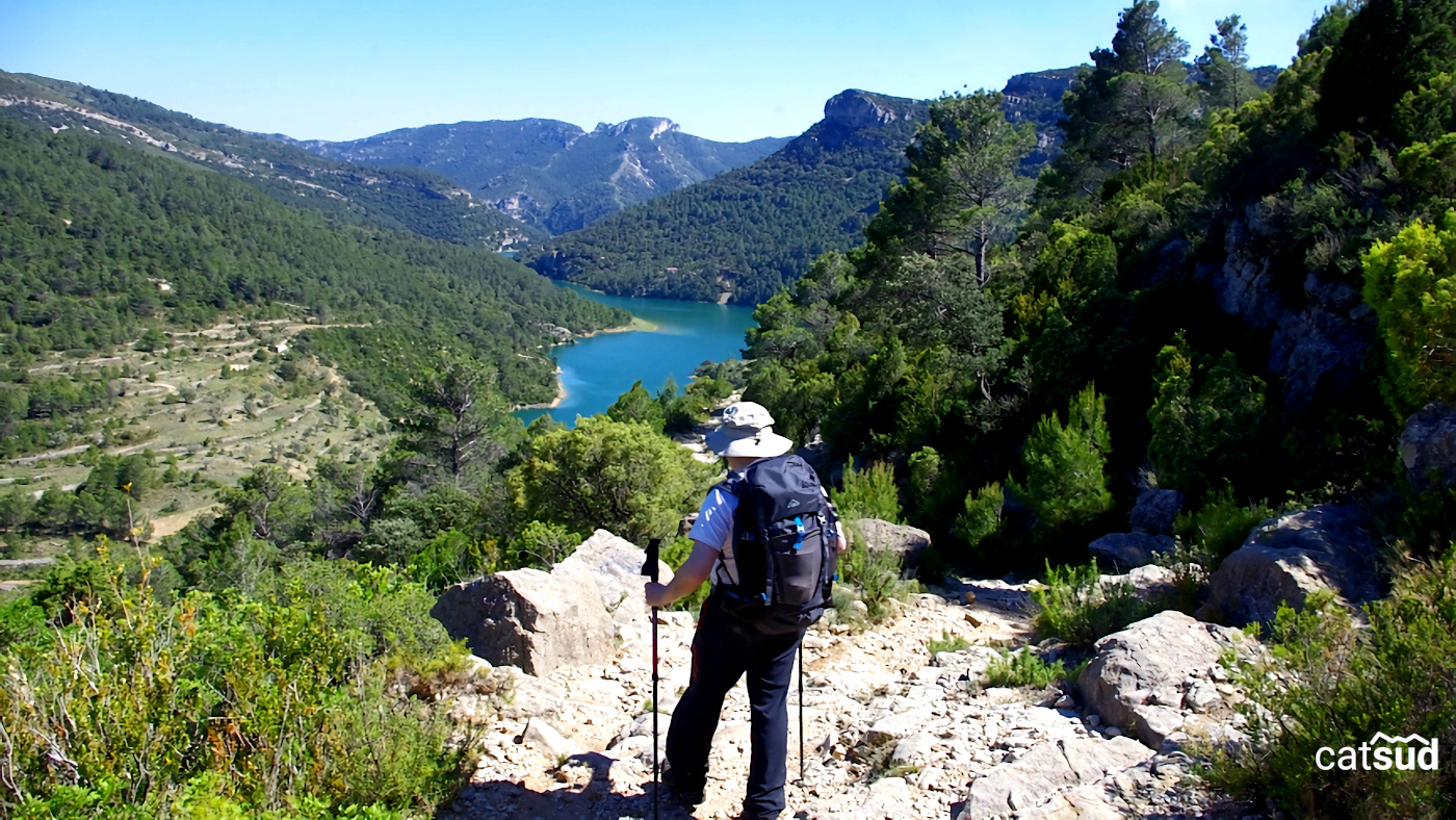 concepte del paisatge