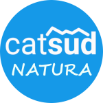 catsud