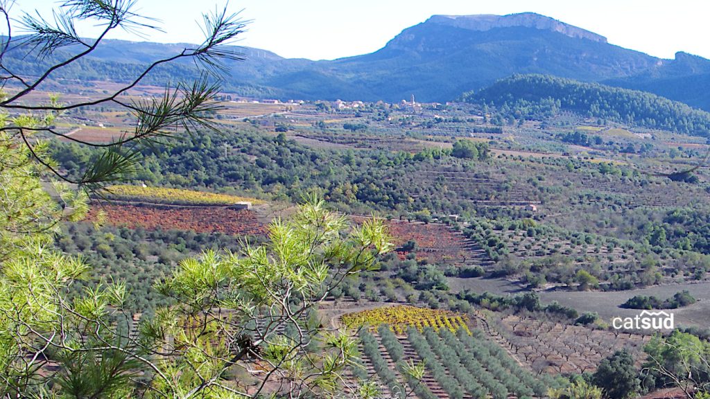 PAISATGE CULTURAL PRIORAT