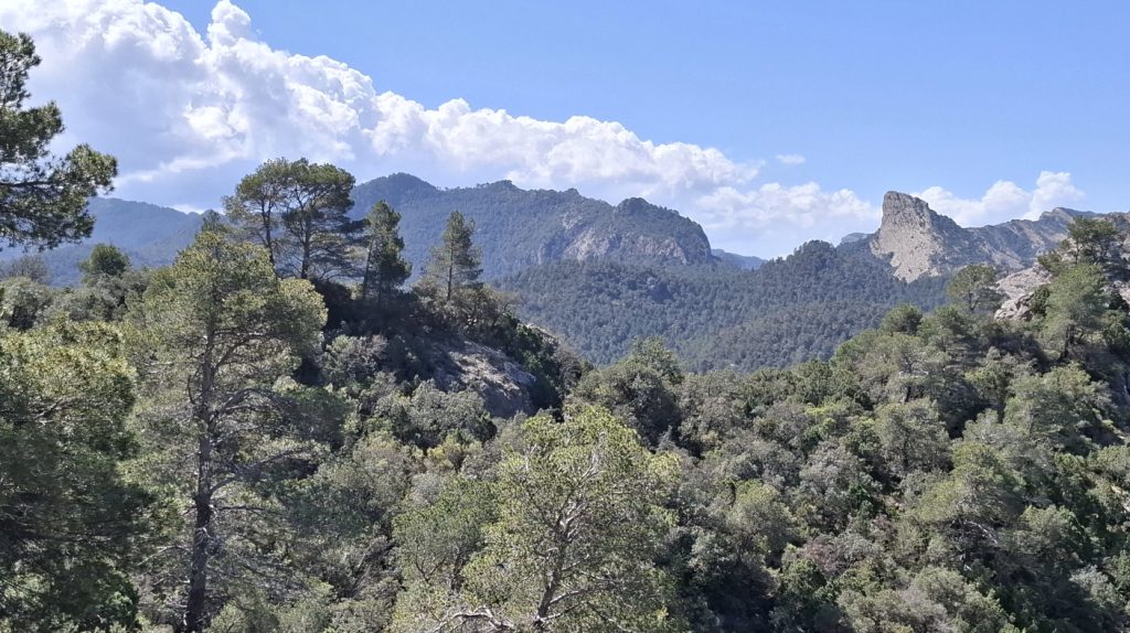 VALL DEL RIUS ESTRETS
