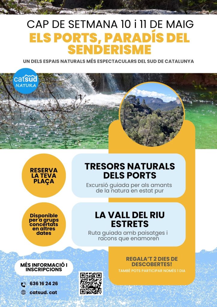 EXCURSIONS GUIADES ALS PORTS
