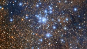 Del microcosmos al macrocosmos
