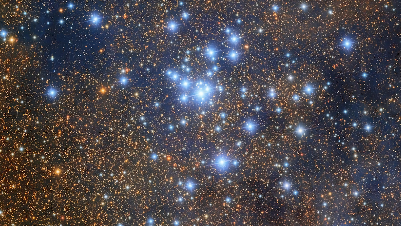 MICROCOSMOS MACROCOSMOS